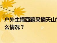 户外主播西藏采摘天山雪莲，账号被封禁，当地回应 这是什么情况？