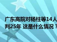 广东高院对杨柱等14人涉黑案二审宣判：维持原判，主犯被判25年 这是什么情况？