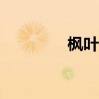 枫叶怎么画（枫树怎么画）