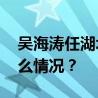 吴海涛任湖北省委常委、省委秘书长 这是什么情况？