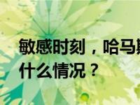 敏感时刻，哈马斯领导人“秘访”伊朗 这是什么情况？