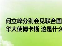 何立峰分别会见联合国贸发会议秘书长格林斯潘、美国前驻华大使博卡斯 这是什么情况？