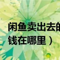 闲鱼卖出去的钱在哪里多久到（闲鱼卖出去的钱在哪里）