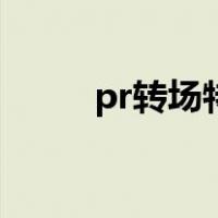 pr转场特效怎么加（pr转场特效）