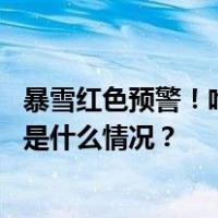 暴雪红色预警！哈尔滨客运站全线停运，主城区停课一天 这是什么情况？