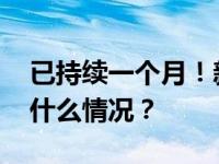 已持续一个月！新一轮巴以冲突大事记 这是什么情况？