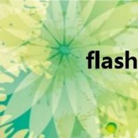 flash元件类型（flash元件）