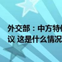 外交部：中方特使翟隽将出席支援加沙平民国际人道主义会议 这是什么情况？