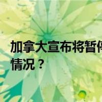 加拿大宣布将暂停执行《欧洲常规武装力量条约》 这是什么情况？