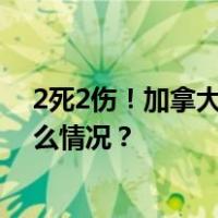 2死2伤！加拿大驻尼日利亚高级专员公署发生爆炸 这是什么情况？