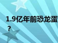 1.9亿年前恐龙蛋窝，被发现了 这是什么情况？