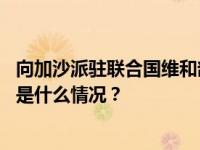 向加沙派驻联合国维和部队？古特雷斯：现在还为时过早 这是什么情况？