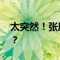 太突然！张庭夫妇，直播被封 这是什么情况？