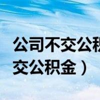 公司不交公积金个人怎么交公积金（个人怎么交公积金）