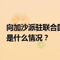 向加沙派驻联合国维和部队？古特雷斯：现在还为时过早 这是什么情况？