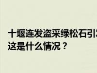 十堰连发盗采绿松石引发较大人员伤亡事件！负责人被约谈 这是什么情况？