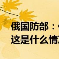 俄国防部：俄军对叙境内恐怖组织发动空袭 这是什么情况？