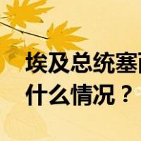 埃及总统塞西与俄罗斯总统普京通电话 这是什么情况？