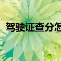 驾驶证查分怎么查 c1（驾驶证查分怎么查）