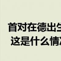 首对在德出生的大熊猫双胞胎回国进入倒计时 这是什么情况？