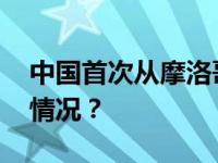 中国首次从摩洛哥引渡犯罪嫌疑人 这是什么情况？