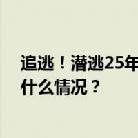 追逃！潜逃25年的职务犯罪嫌疑人刘同乐被缉捕归案 这是什么情况？