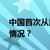 中国首次从摩洛哥引渡犯罪嫌疑人 这是什么情况？