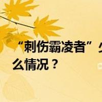 “刺伤霸凌者”少年申请600万国家赔偿，有结果了 这是什么情况？