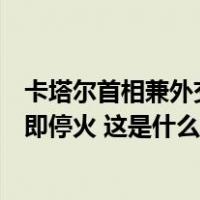 卡塔尔首相兼外交大臣会见美国代表团，呼吁在加沙地带立即停火 这是什么情况？