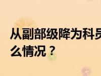 从副部级降为科员9年后，赵智勇被查 这是什么情况？