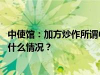 中使馆：加方炒作所谓中方“任意拘押”纯属贼喊捉贼 这是什么情况？