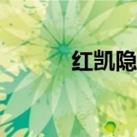 红凯隐没伤害（红凯隐怎么玩）