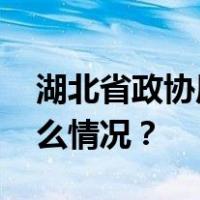 湖北省政协原常务委员何光中被双开 这是什么情况？