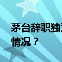 茅台辞职独董出任北大党委副书记 这是什么情况？