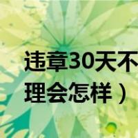 违章30天不处理会怎样处罚（违章30天不处理会怎样）