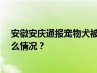 安徽安庆通报宠物犬被捕杀：处置人员被行拘10日 这是什么情况？