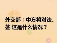 外交部：中方将对法、德、意、荷、西、马六国试行单方免签 这是什么情况？