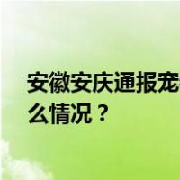 安徽安庆通报宠物犬被捕杀：处置人员被行拘10日 这是什么情况？