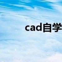 cad自学入门视频（cad自学入门）