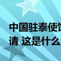 中国驻泰使馆：12月1日起实行签证免预约申请 这是什么情况？