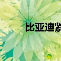 比亚迪紧急回应！ 这是什么情况？