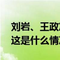 刘岩、王政准、池国清、何树茂被决定逮捕 这是什么情况？