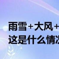 雨雪+大风+沙尘袭来！北方地区断崖式降温 这是什么情况？