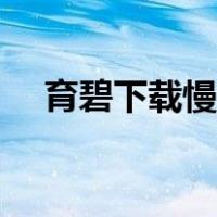 育碧下载慢用什么加速器（育碧下载慢）