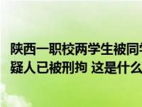 陕西一职校两学生被同学捅伤，1死1伤！警方通报：19岁嫌疑人已被刑拘 这是什么情况？