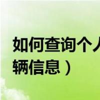 如何查询个人车辆信息记录（如何查询个人车辆信息）