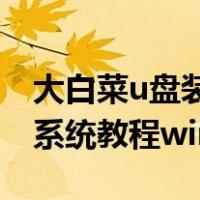 大白菜u盘装系统教程Win10（大白菜u盘装系统教程win7）