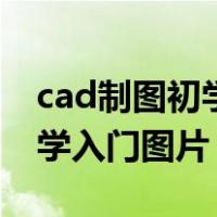 cad制图初学入门图片小猪佩奇（cad制图初学入门图片）