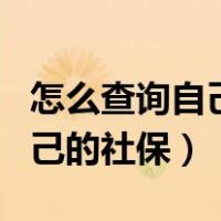 怎么查询自己的社保在哪个地方（怎么查询自己的社保）