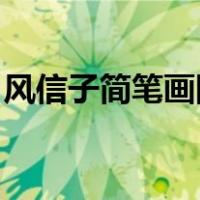 风信子简笔画图片大全 简单（风信子简笔画）